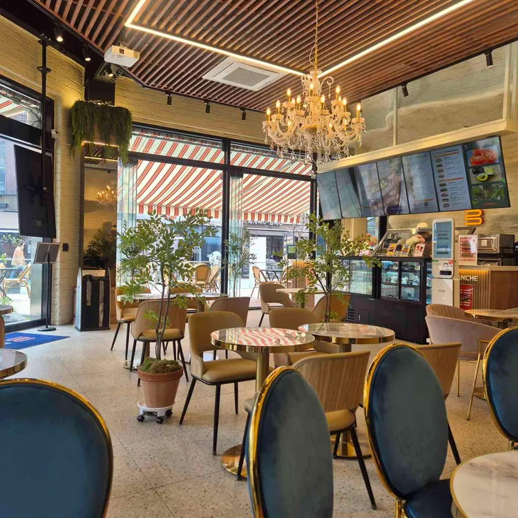 브랑슈 대표 사진