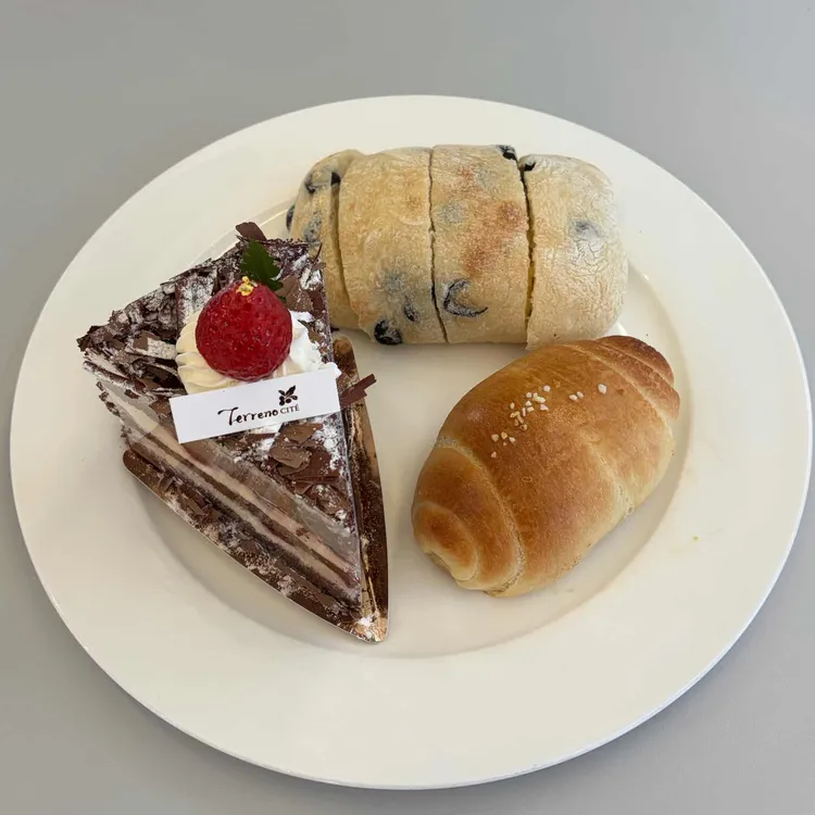 떼레노시떼스페셜 사진