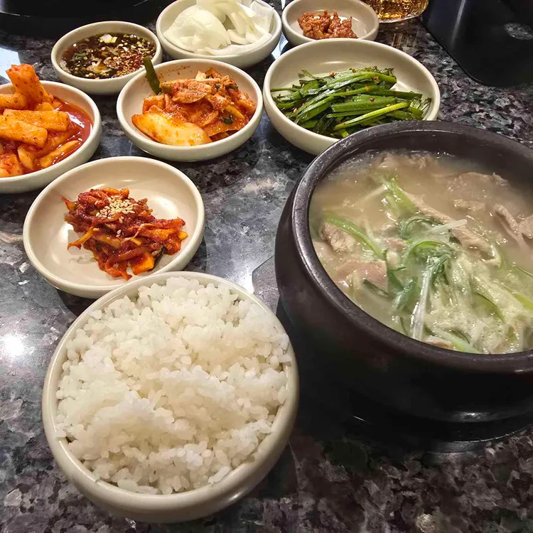 수국 대표 사진