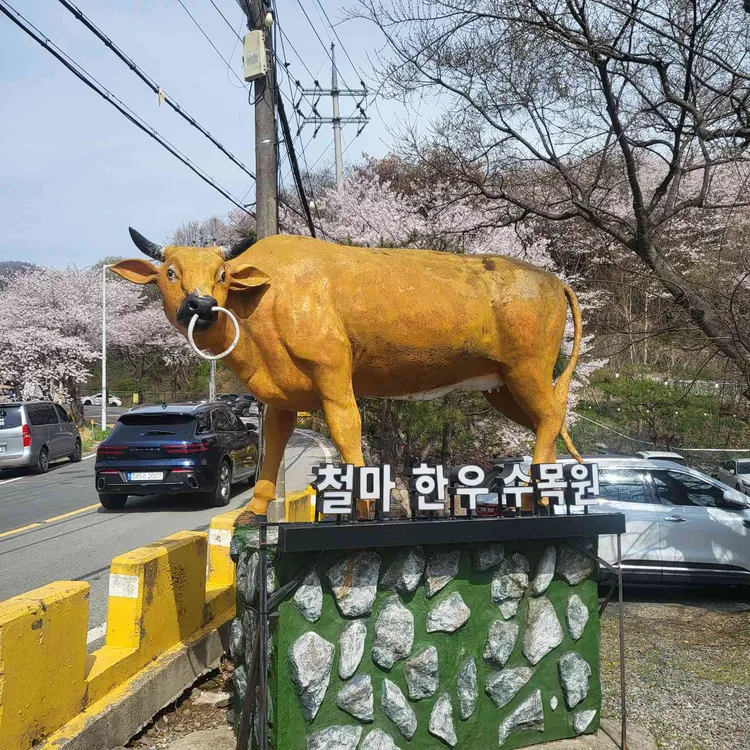철마 한우 수목원 사진