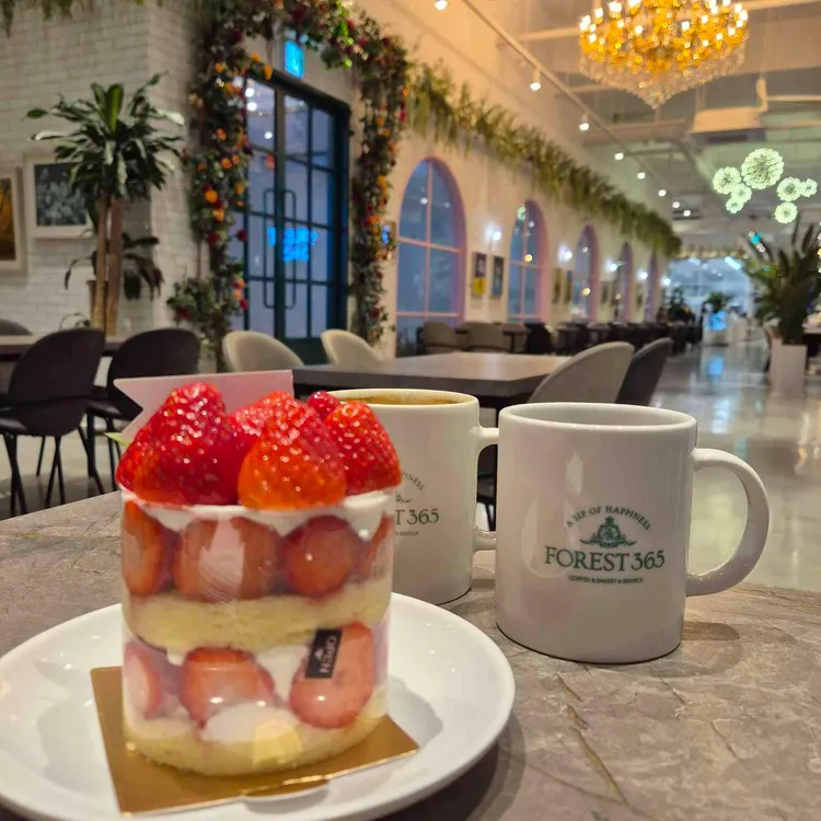 포레스트365 사진