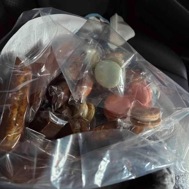 쫀독쫀독 대표 사진