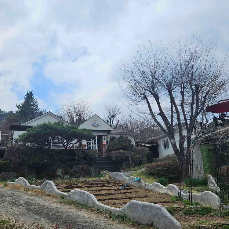 꽃다지쌈밥 사진