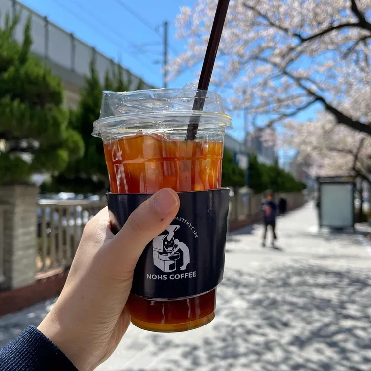 노스커피 사진
