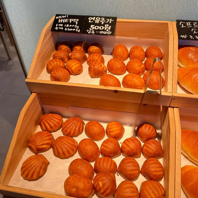 네가이 대표 사진