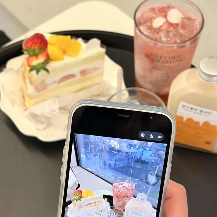 비포블루밍 사진