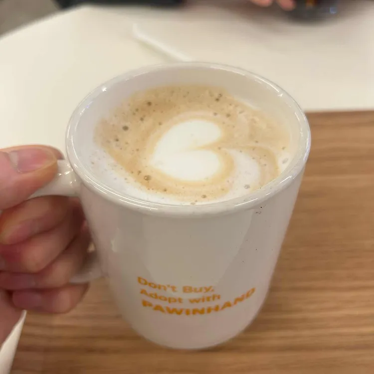 포인핸드 입양문화센터 후원카페 사진