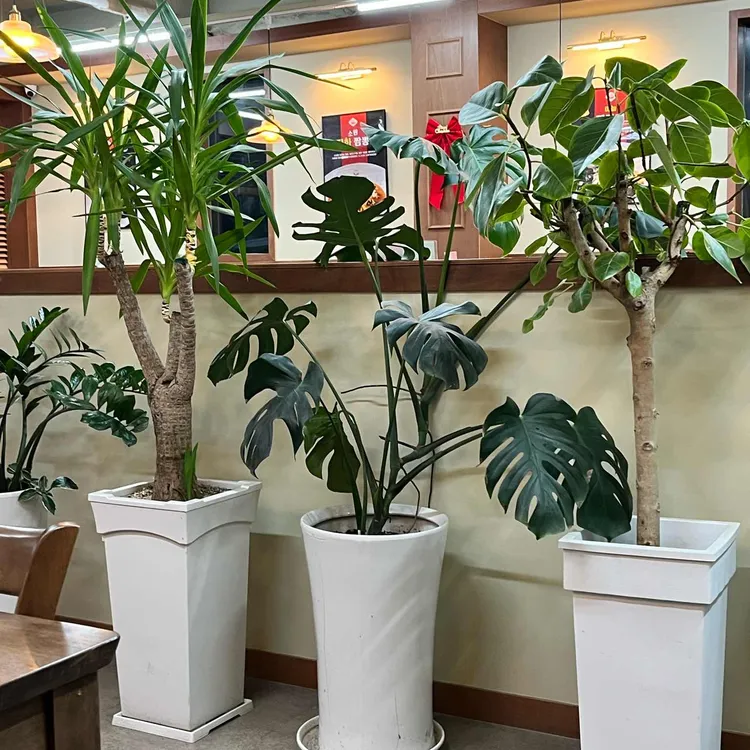 소원짬뽕 대표 사진