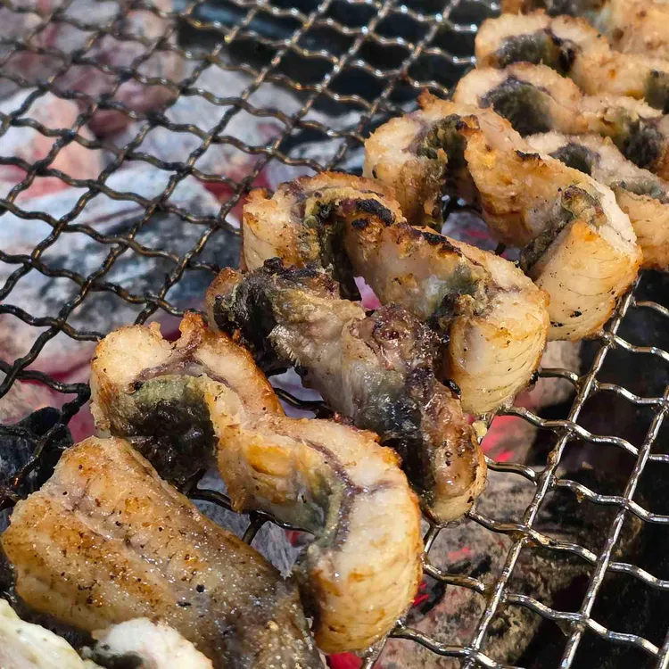 한강민물장어 사진