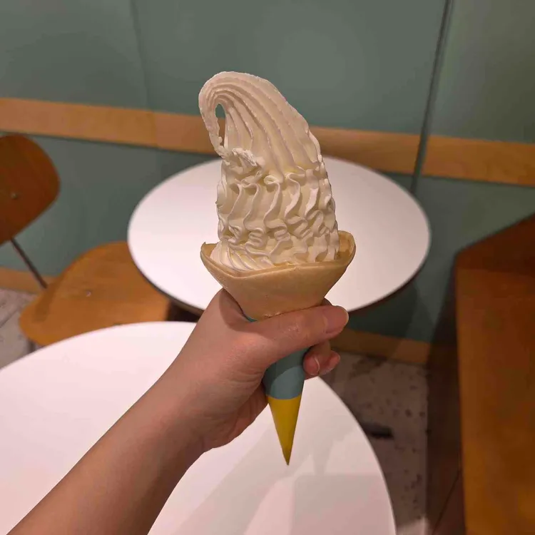 플레인소프트타입 그릭요거트 (300g)