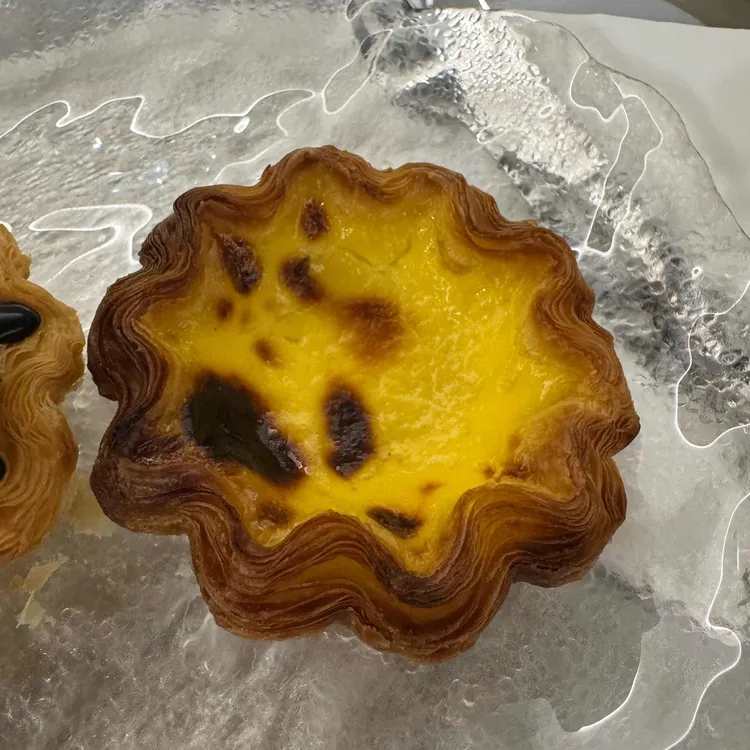 콘티뉴이티 사진