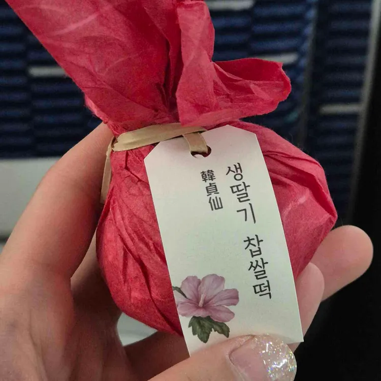 한정선 녹 사진