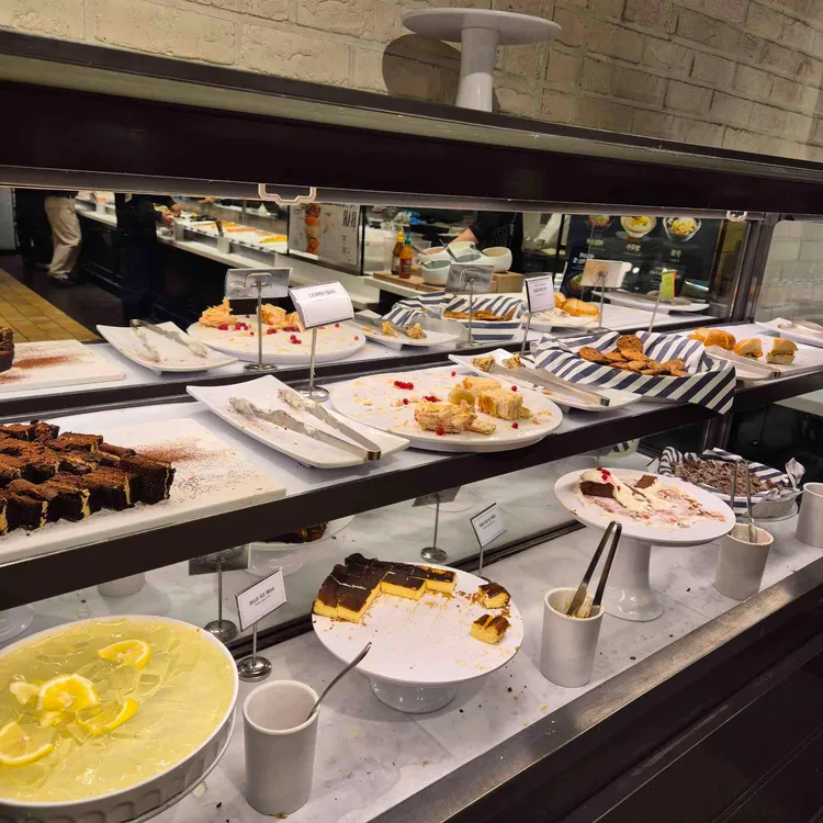 애슐리퀸즈 사진