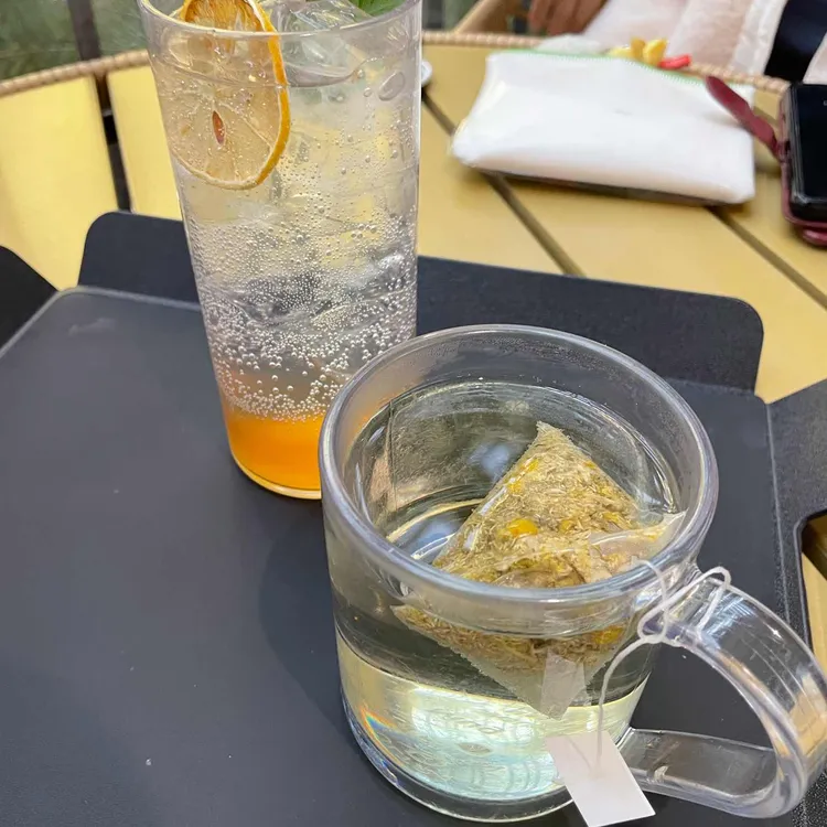 포레스트 아웃팅스 사진