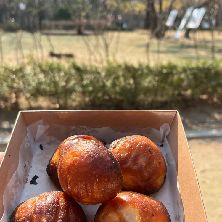 이웃집통통이 사진