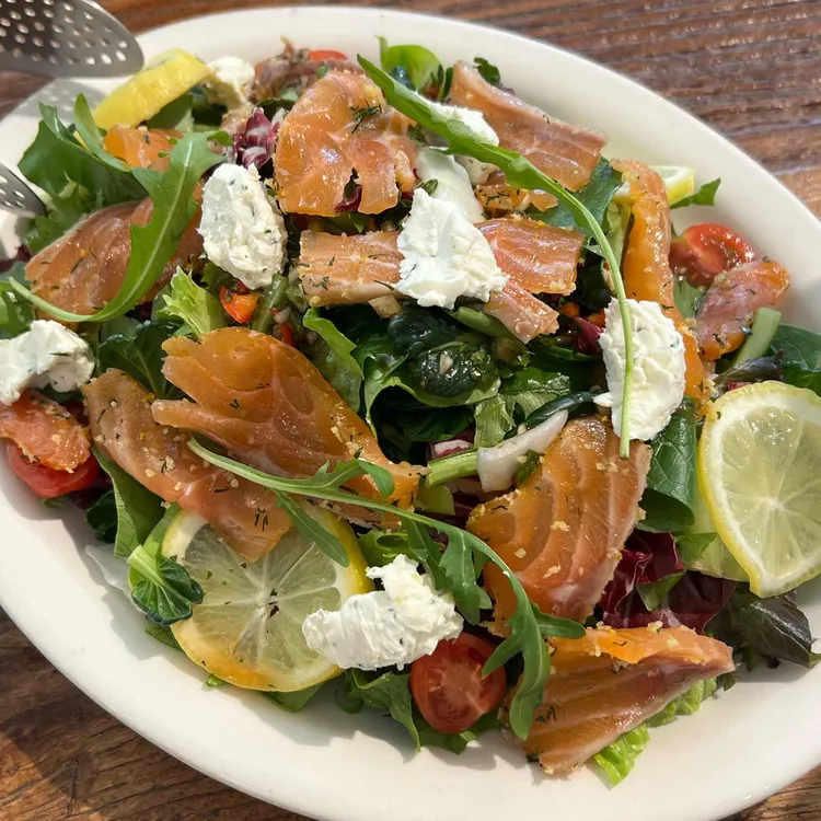 새들브라운 사진