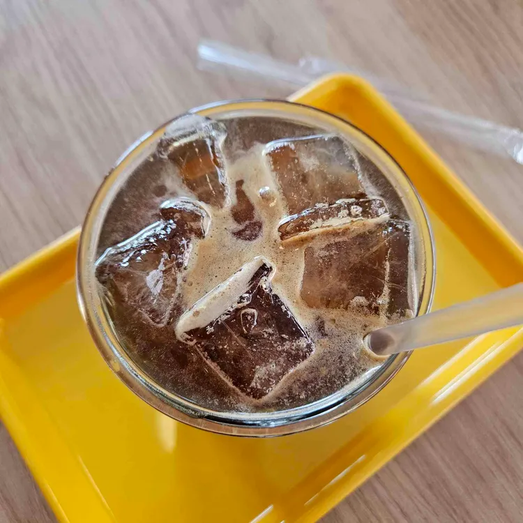 사월의물고기 사진