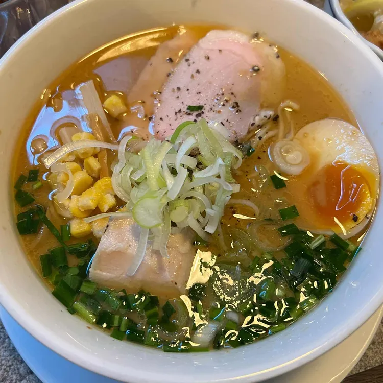 거북이의꿈 사진