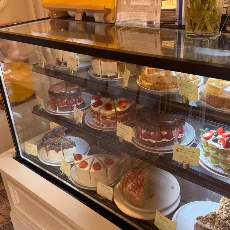 앨리스케이커리 사진