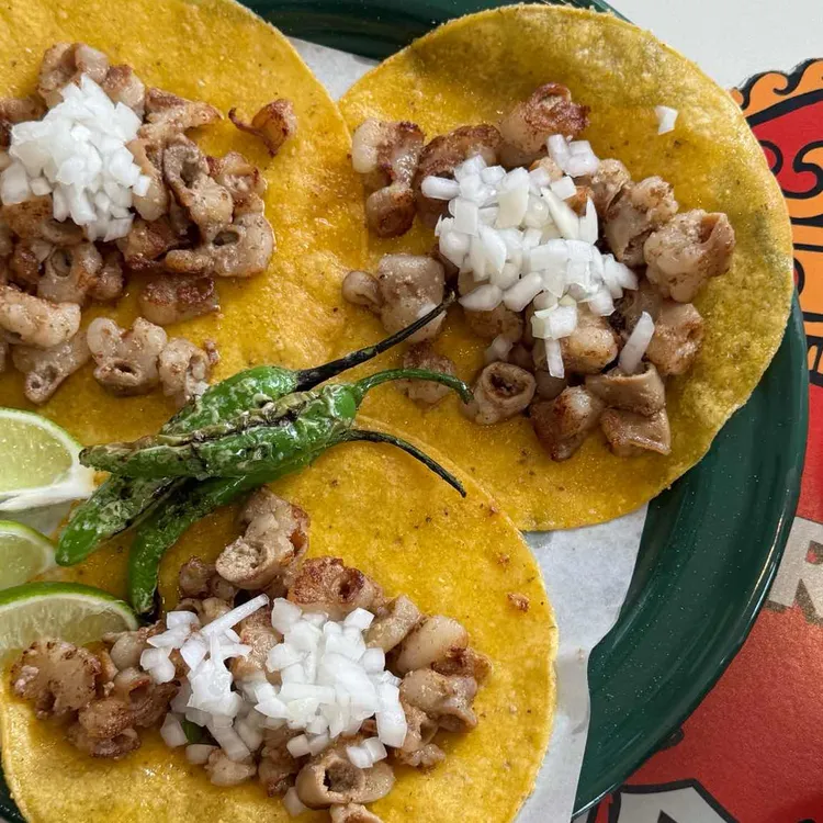 라스또르따스 사진