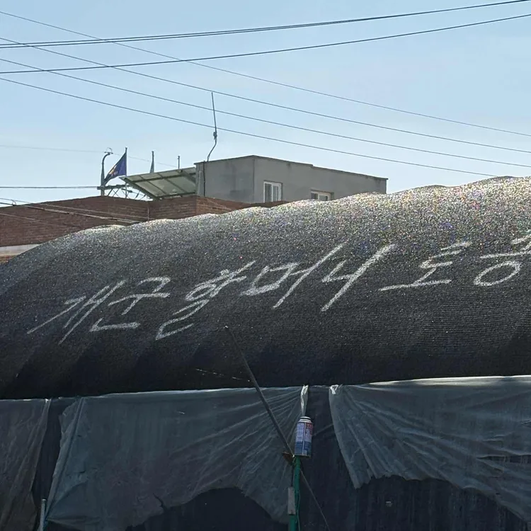 개군할머니 토종순대국 사진