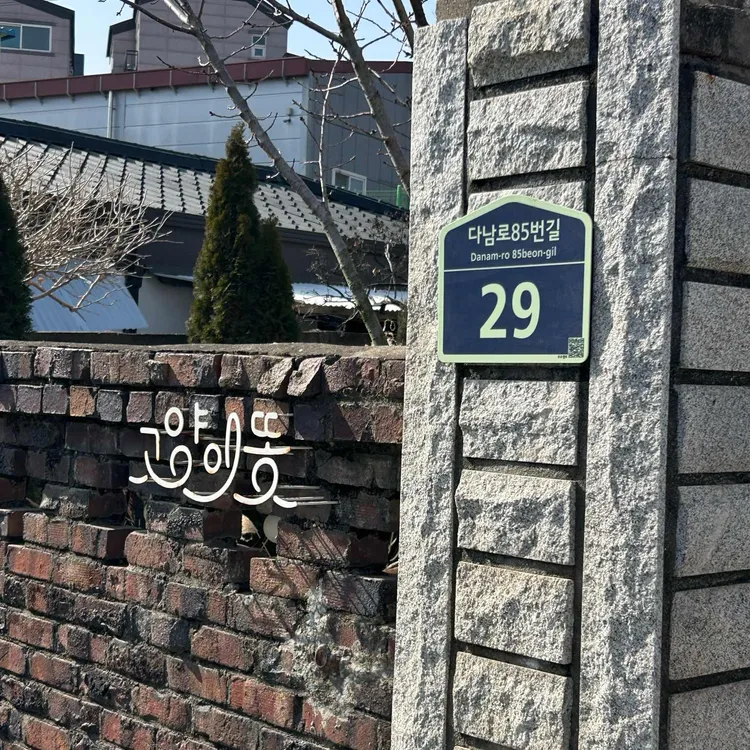 고양이똥 사진