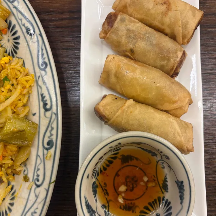 포꼬 사진