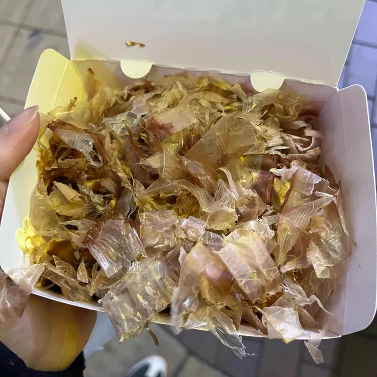 준타코 사진