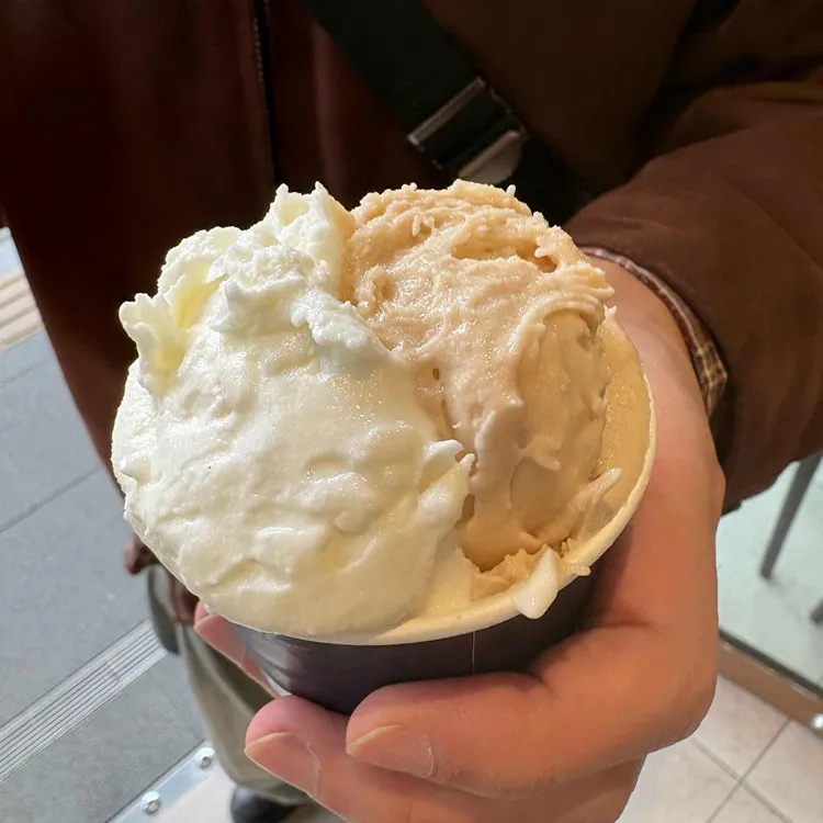 젤라띠젤라띠 사진