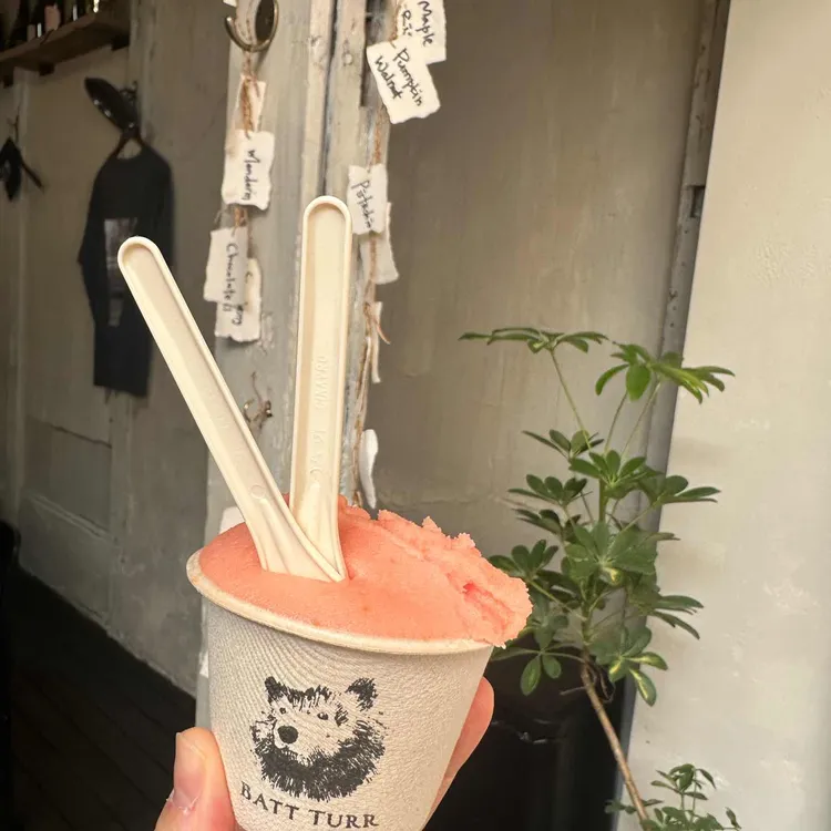 받터 사진