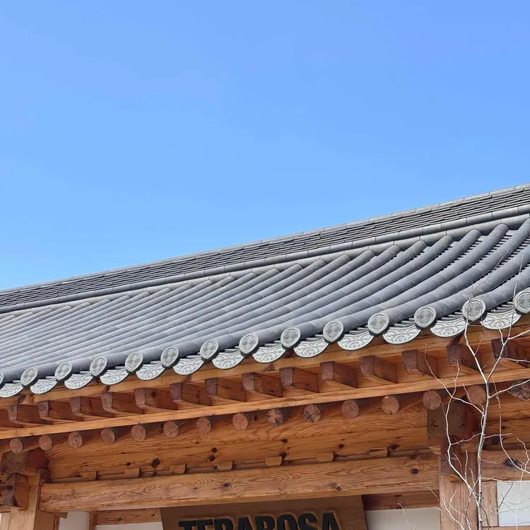 테라로사 사진