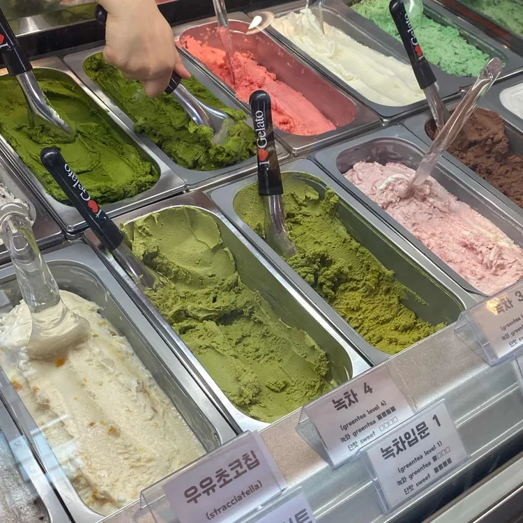 녹아 사진