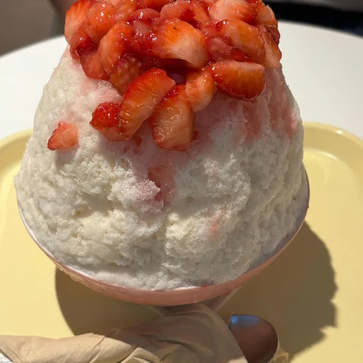 피오니 사진