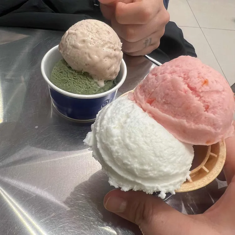 올가콘라라 사진