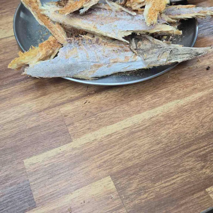 전일갑오 사진