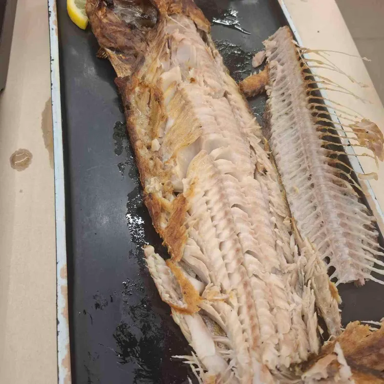 부산에뜬고등어 사진