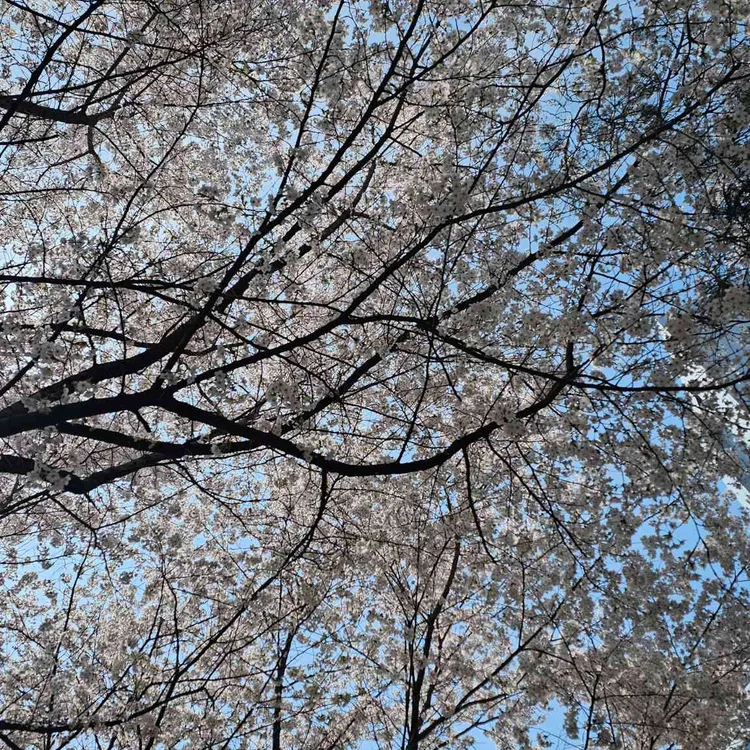 크래킹커피 사진
