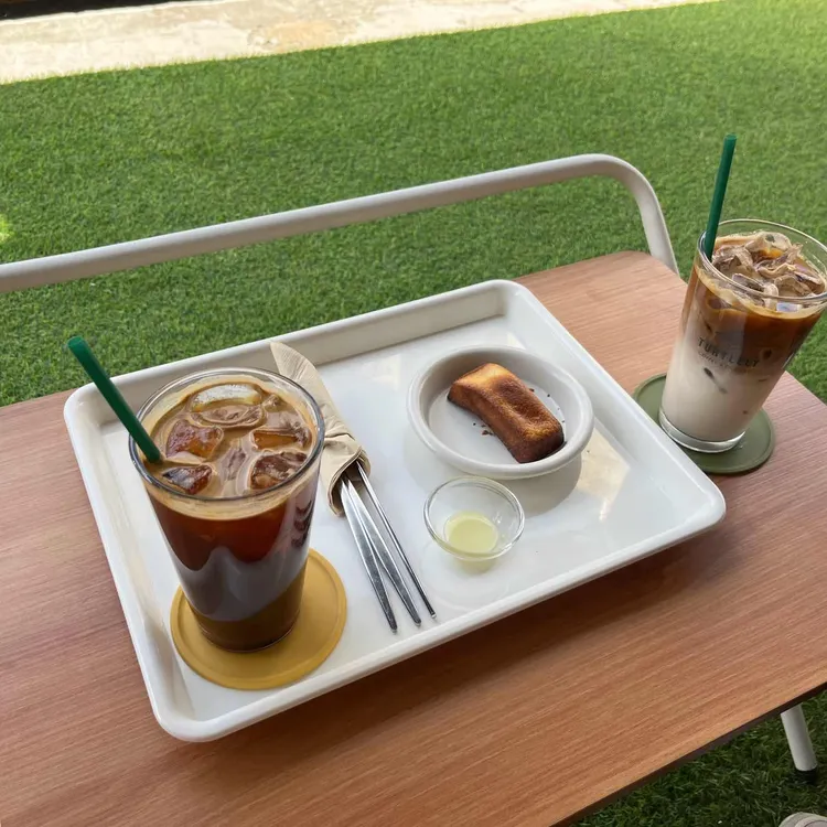 터틀리 사진