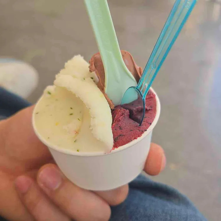 라또래요 사진