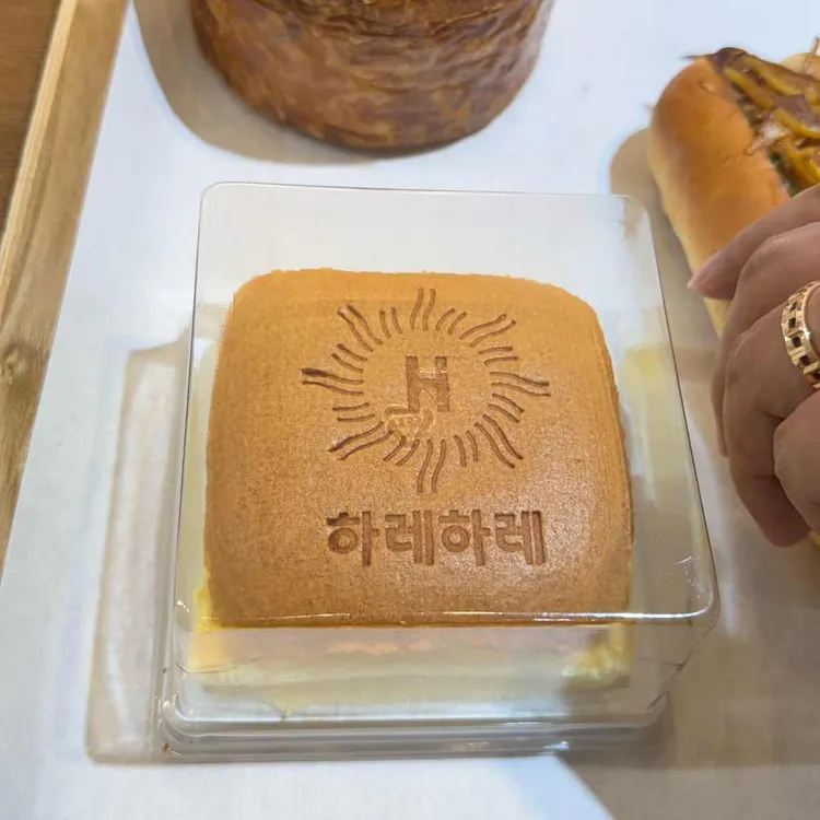 하레하레 사진