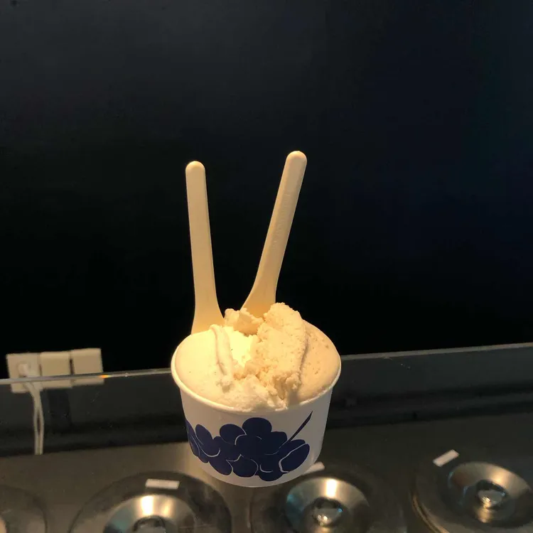 코타티 사진