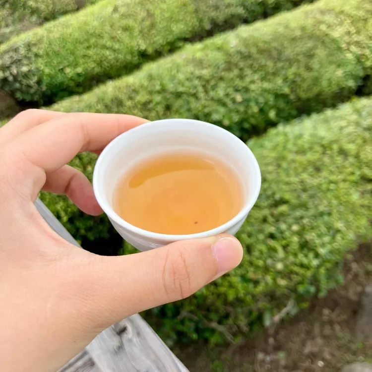 매암차 박물관 사진