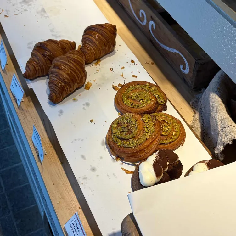 포닐 사진