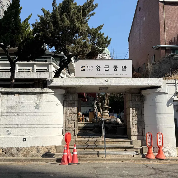 황금콩밭 사진