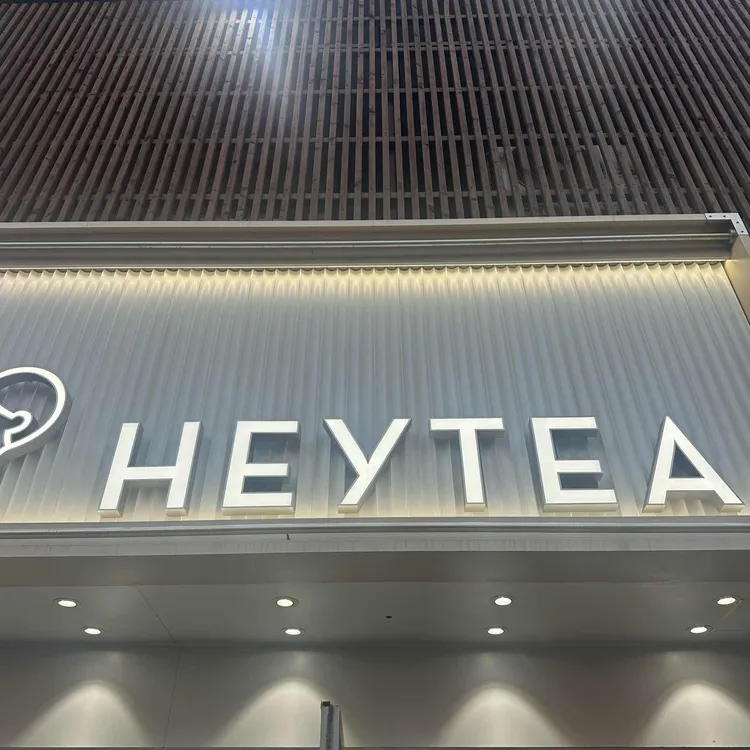 헤이티 사진