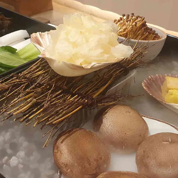 노야 사진