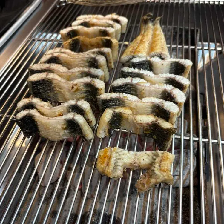 대청장어가 사진
