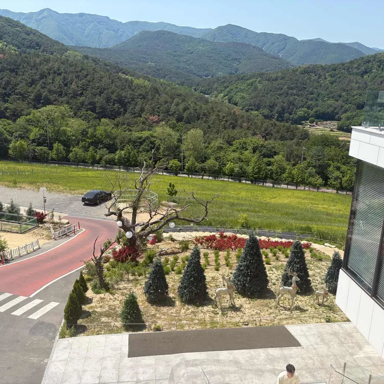 나인힐 베이커리 카페 사진