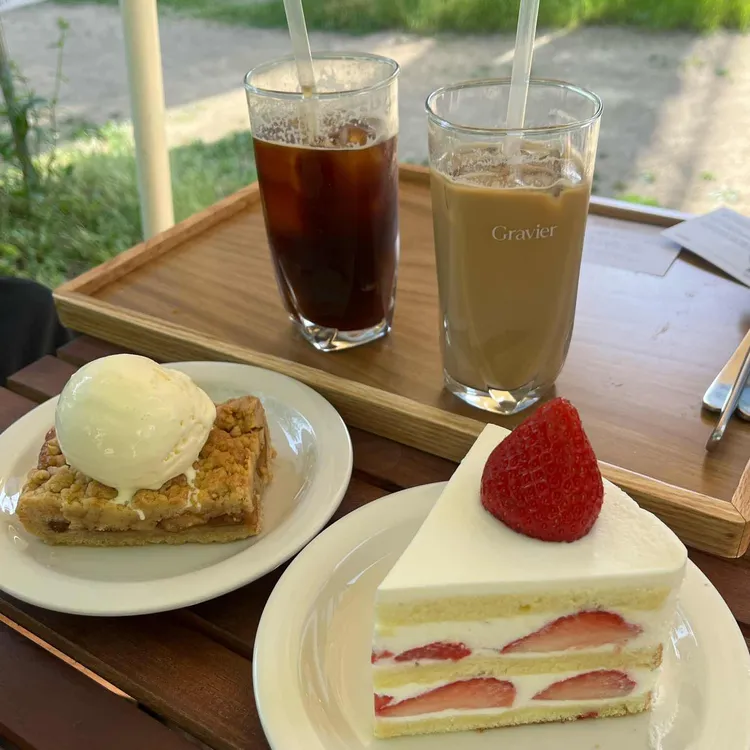 그라비에 사진