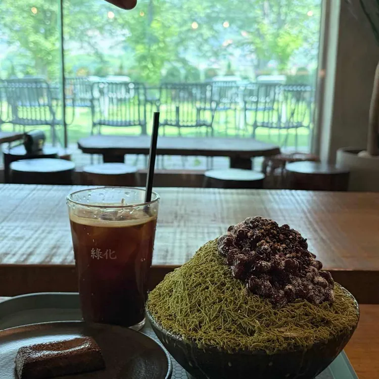 녹화 사진